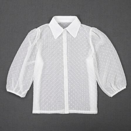 Mesh Sheer Blouse See-through Long Sleeve Top